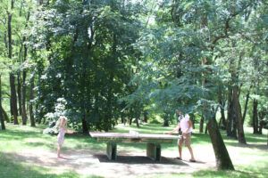 table-ping-pong-nature-camping-famille-domaine-gil